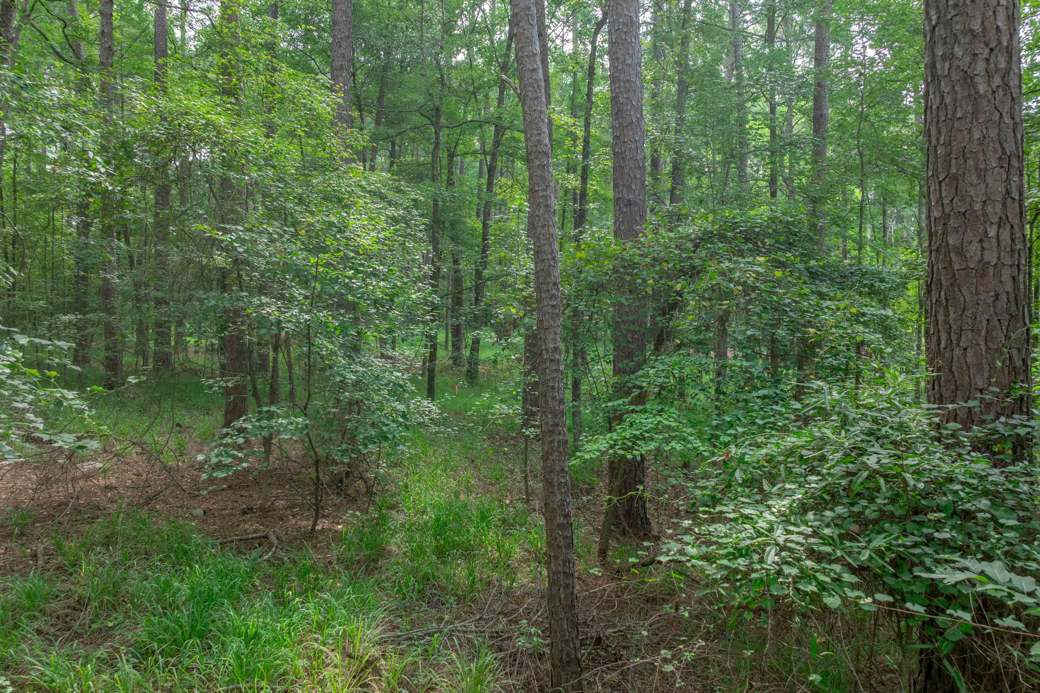 1040 Centennial Post Road image 5